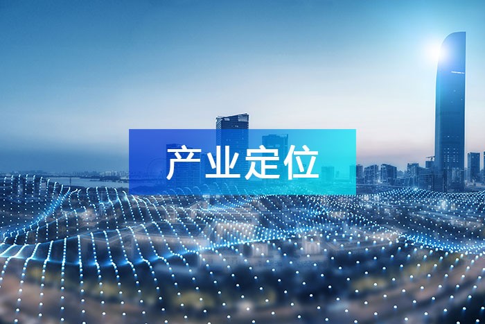 做好產業(yè)數(shù)據(jù)分析，進行科學產業(yè)定位，引導產業(yè)健康發(fā)展！